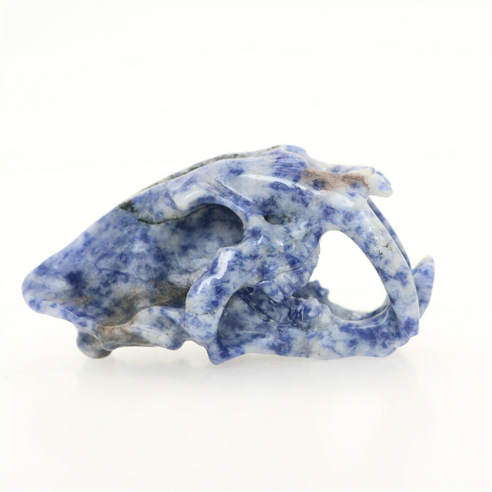 3" Blue Dot Stone Carved Saber-toothed Tiger Crystal Skull Pendant Healing